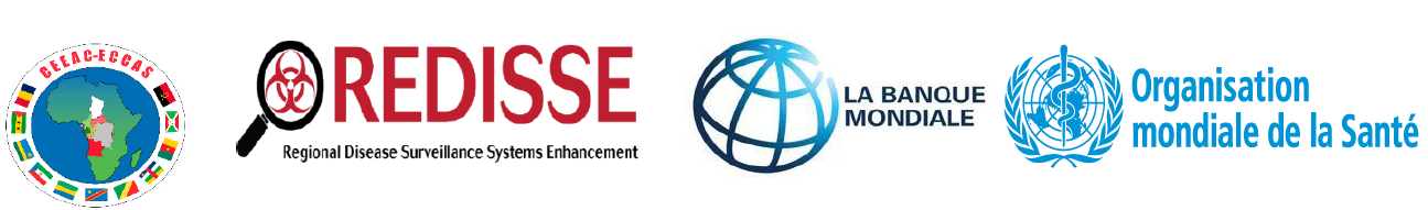 Geo-HEM Logo